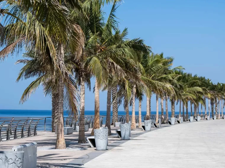 green chairs under umbrellas on shore