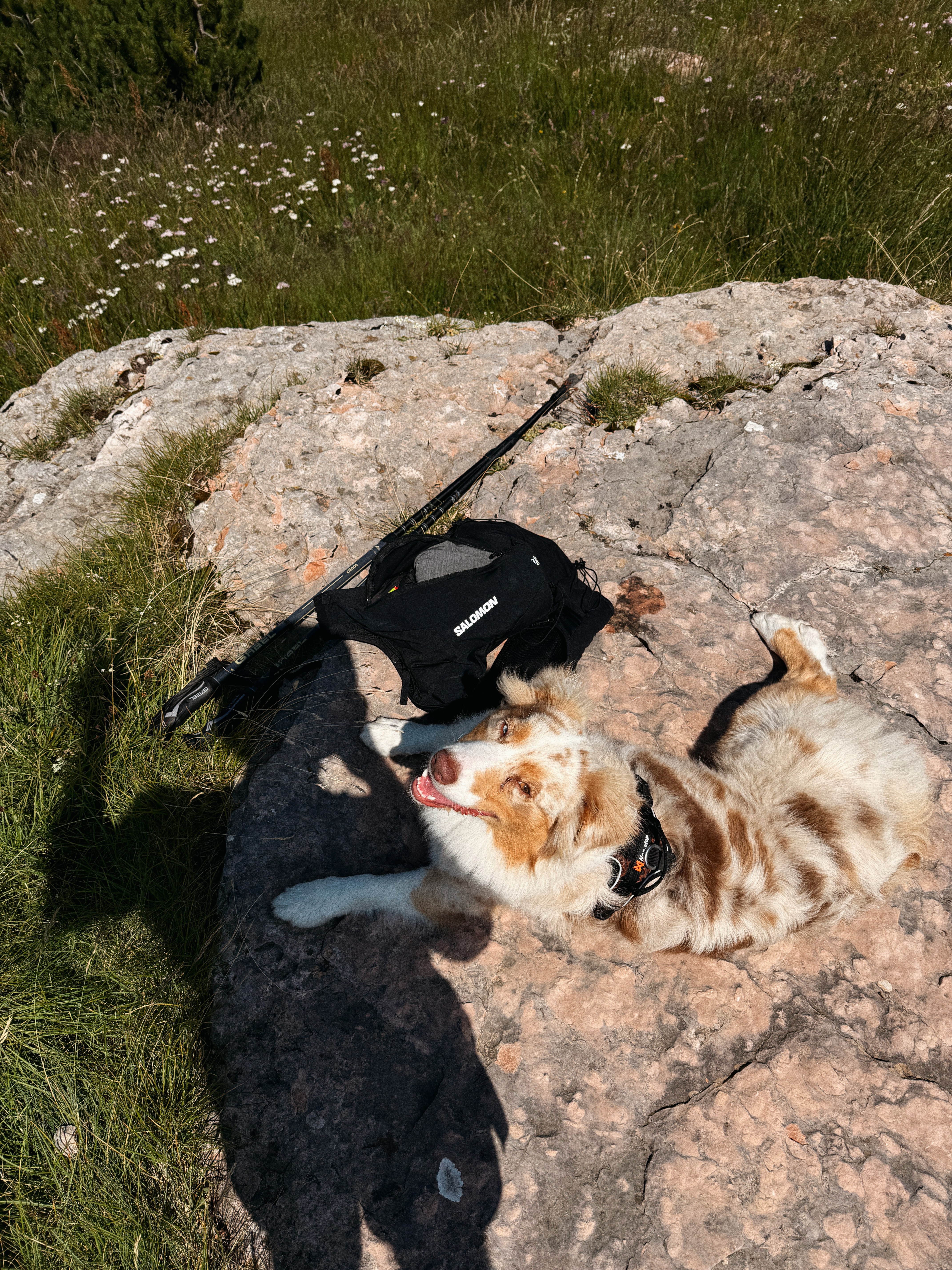 black car with half white and half black background