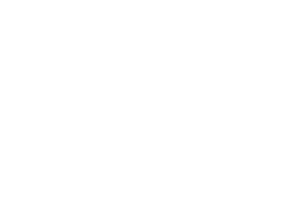 Logo for an imagined company