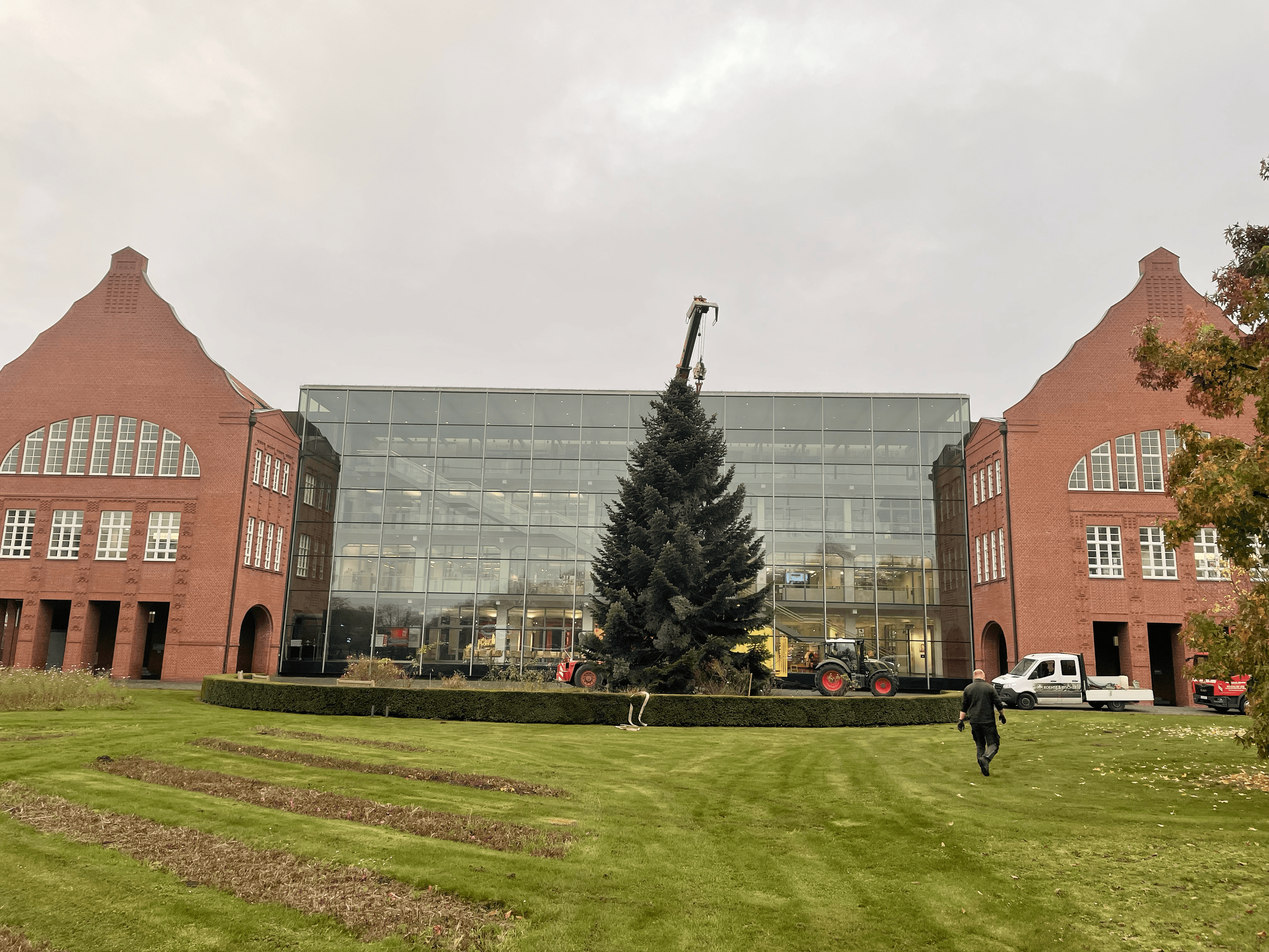 Großer, festlich dekorierter Weihnachtsbaum als Außenbaum vor einem Firmengebäude