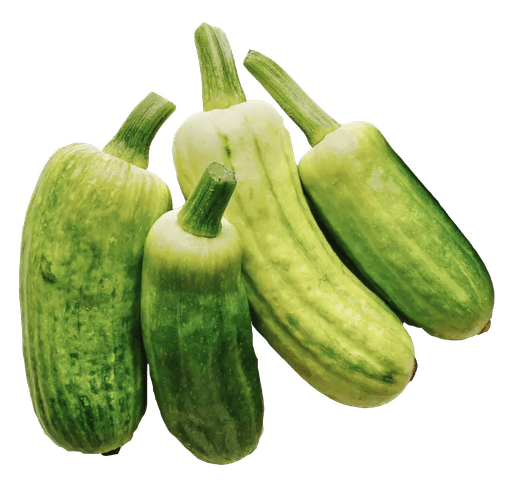 Ochra