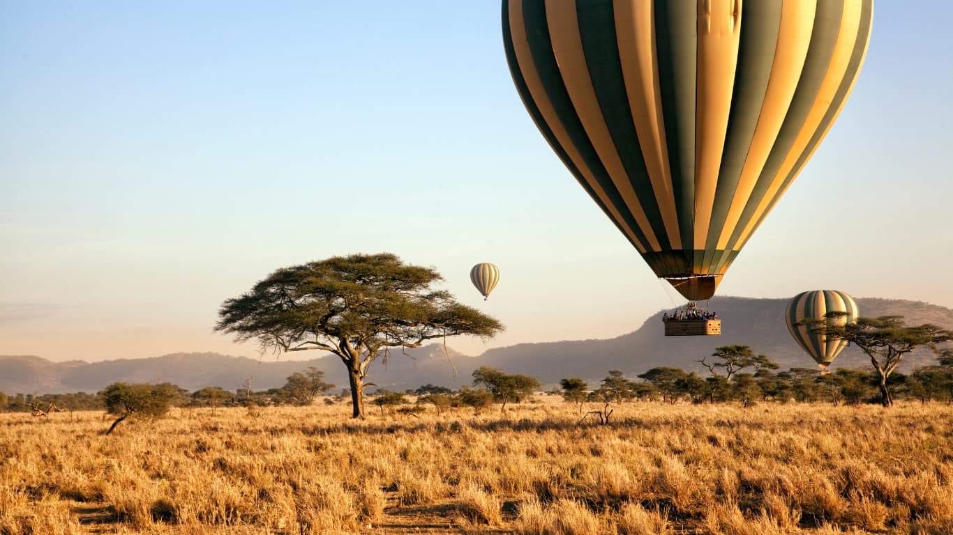 Serengeti landscape safari