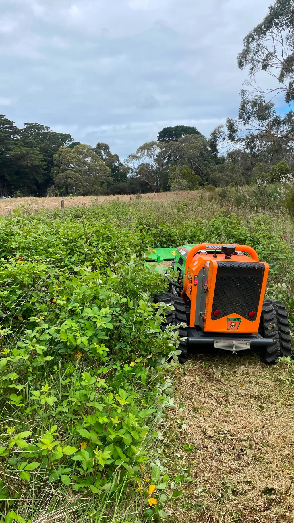 Removing dense brush to create accessible fenceline spaces