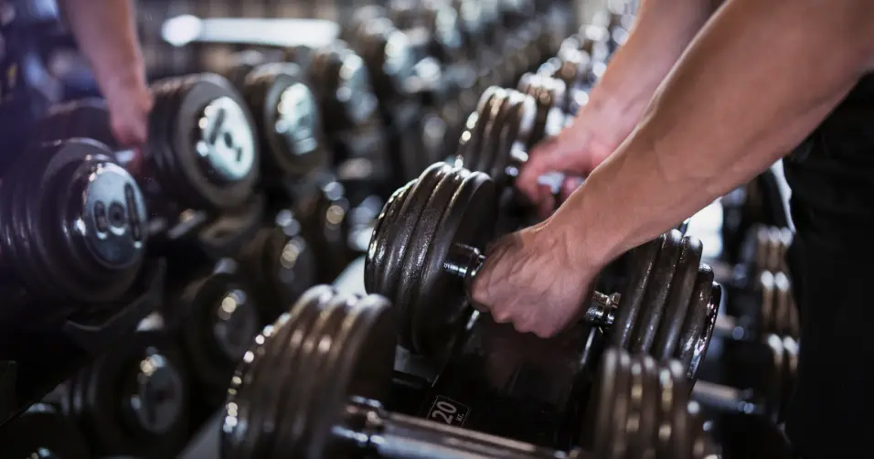 Turkesterone is a natural ecdysteroid compound promoted as a supplement for muscle growth, recovery, and athletic performance.