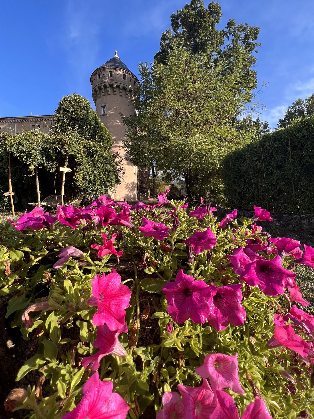 fleurs du jardin avec tour du château du rey en arrière plan