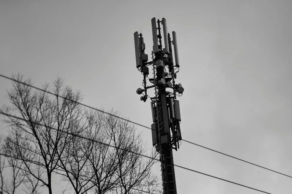 ein Mobilfunkmast und Bäume