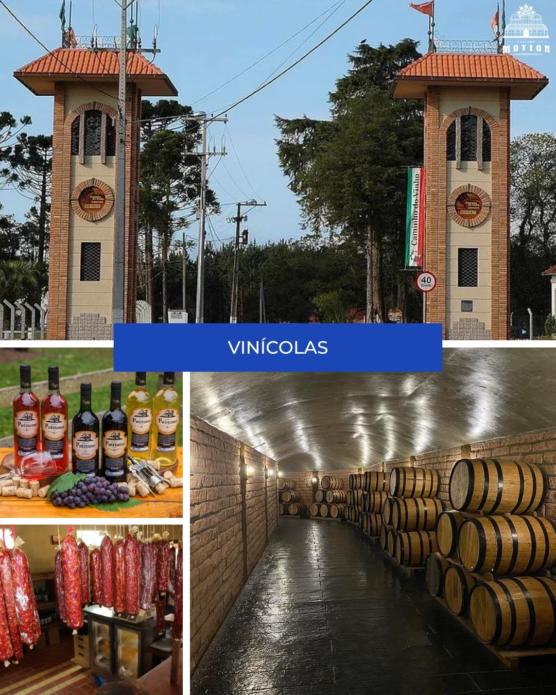 Vinícolas  - Motion Turismo