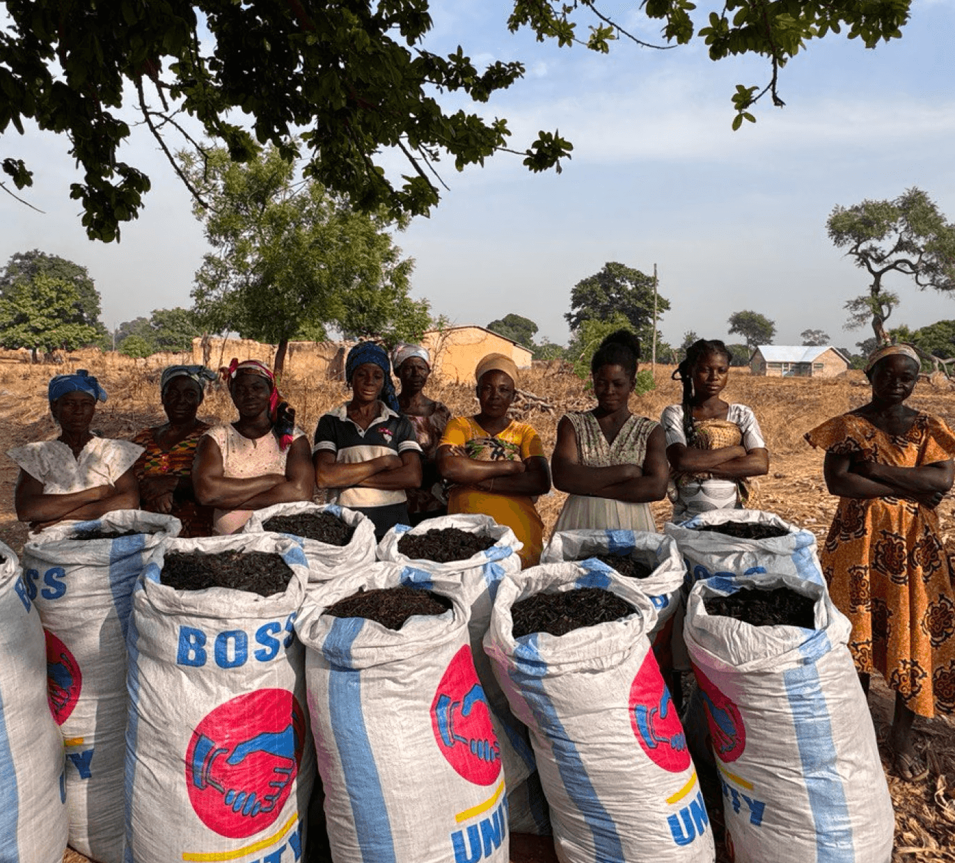 carboneers biochar project in Ghana