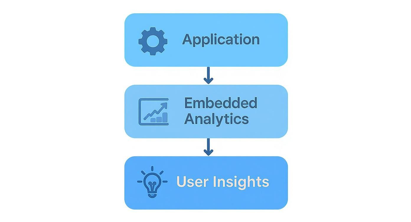 Infographic about embedded analytics