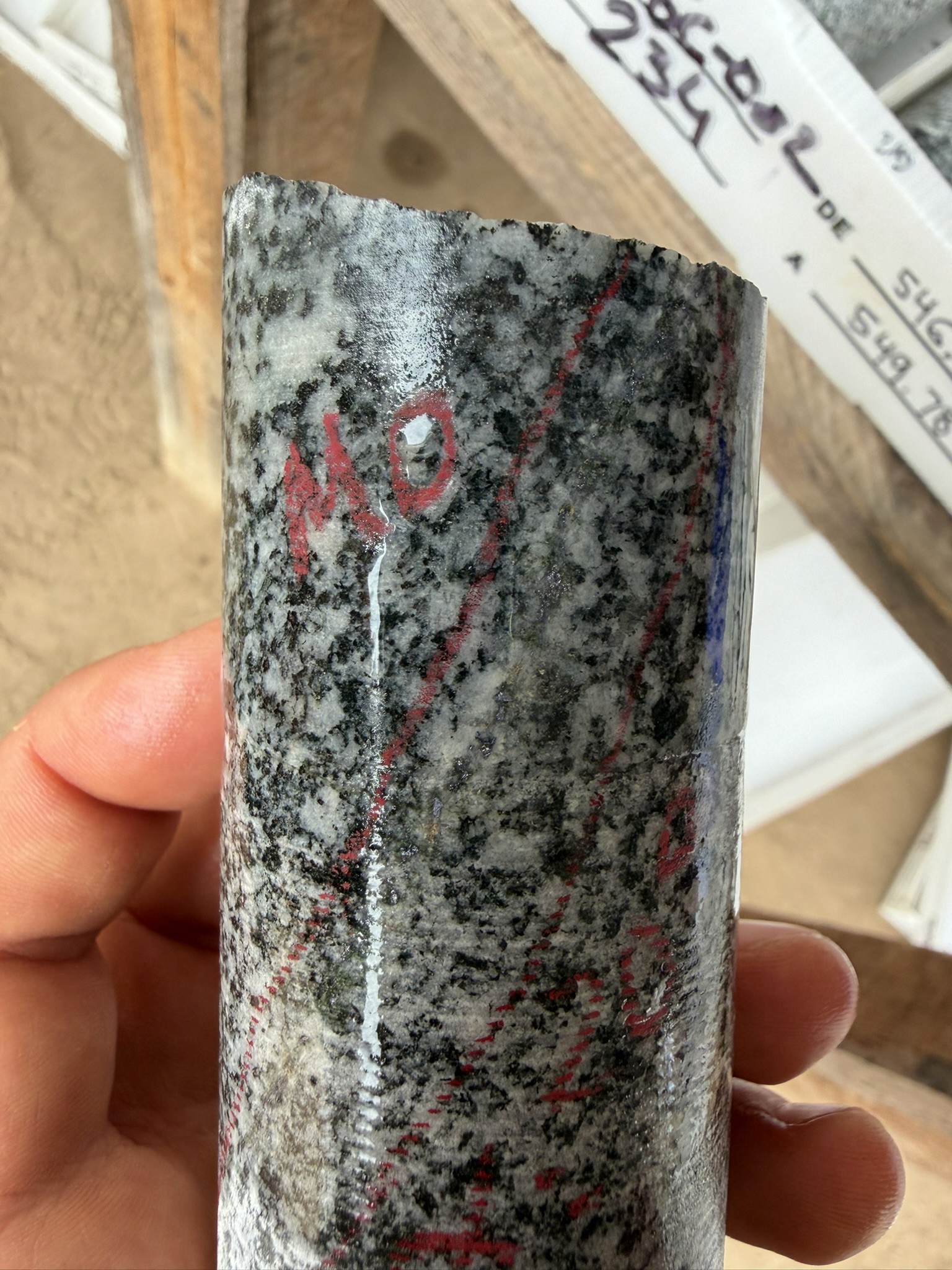 Visible molybdenum and potassic alteration, with intensive magnetite and biotite in granodiorite. 