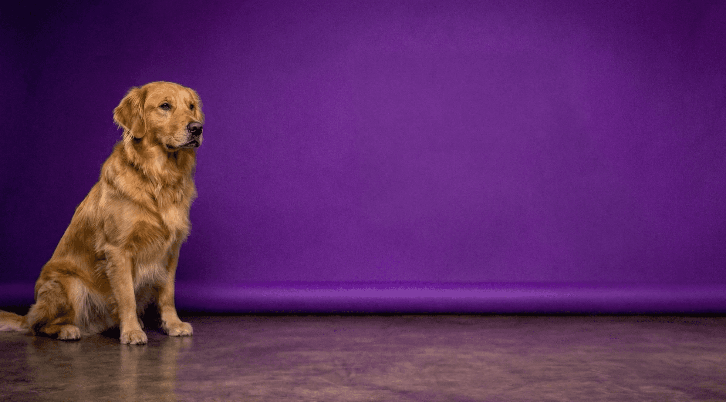 Man with surfing with paddle