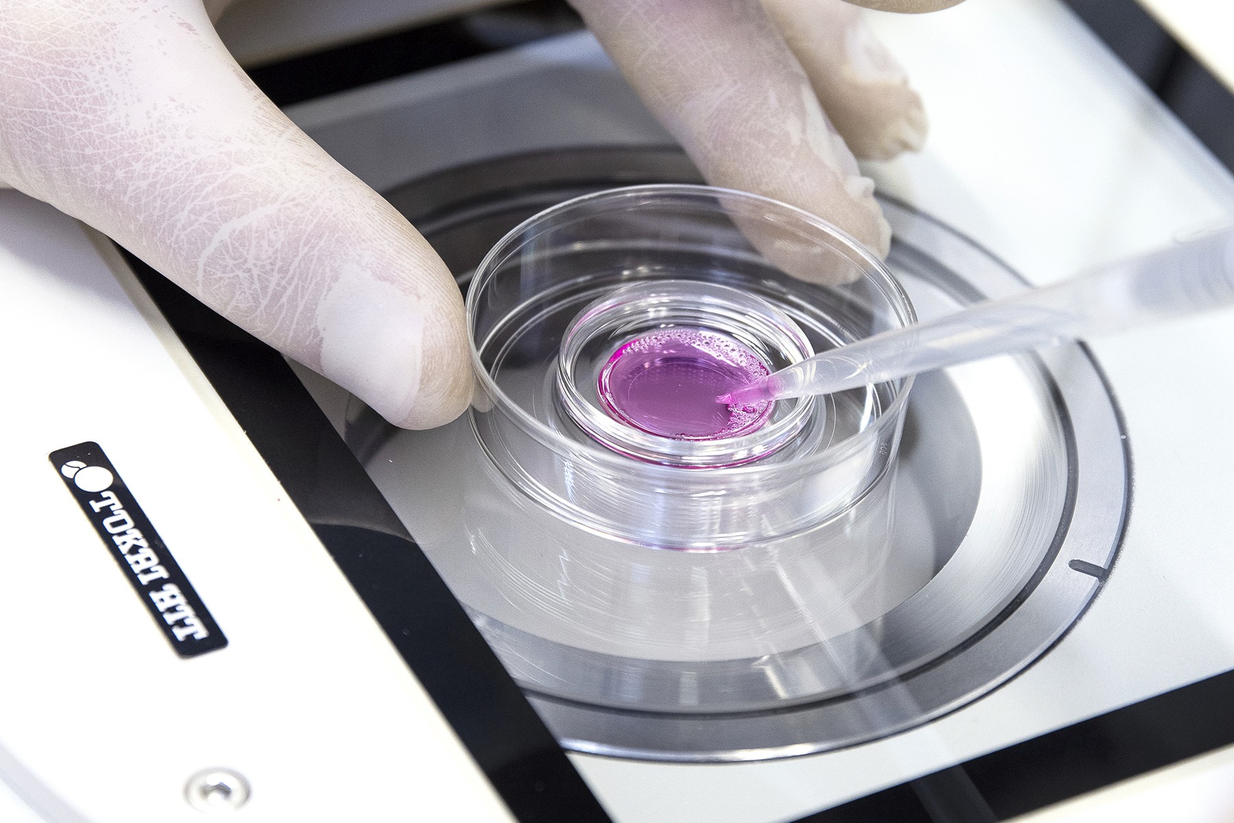 Silhouette of a researcher examining a slide under a microscope with a blue background.