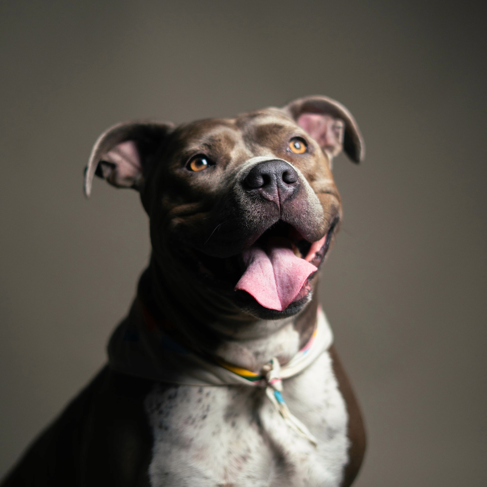 ICANTFINDMIKEY Portrait