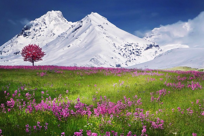 colour | The science behind good web design