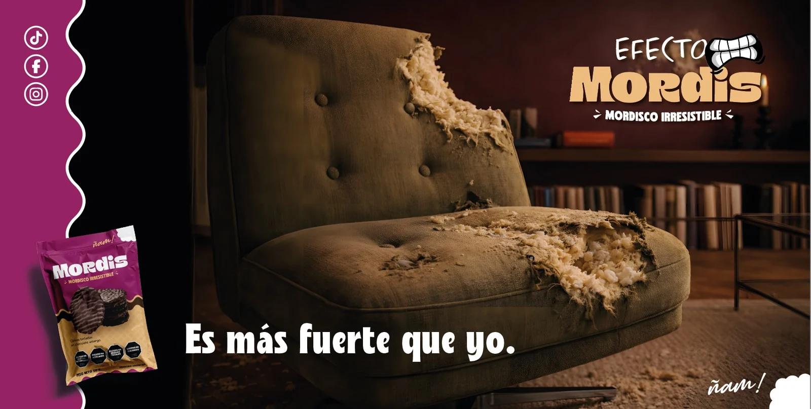 Sillón mordido en casa