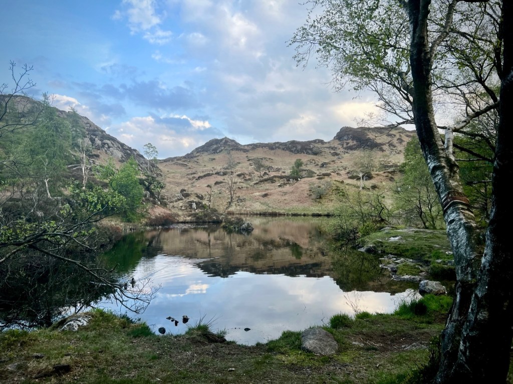 The Holme Fell reservoir (tarn), with a tall tree on the right, and mountains behind. The water is still, reflecting the surroundings.