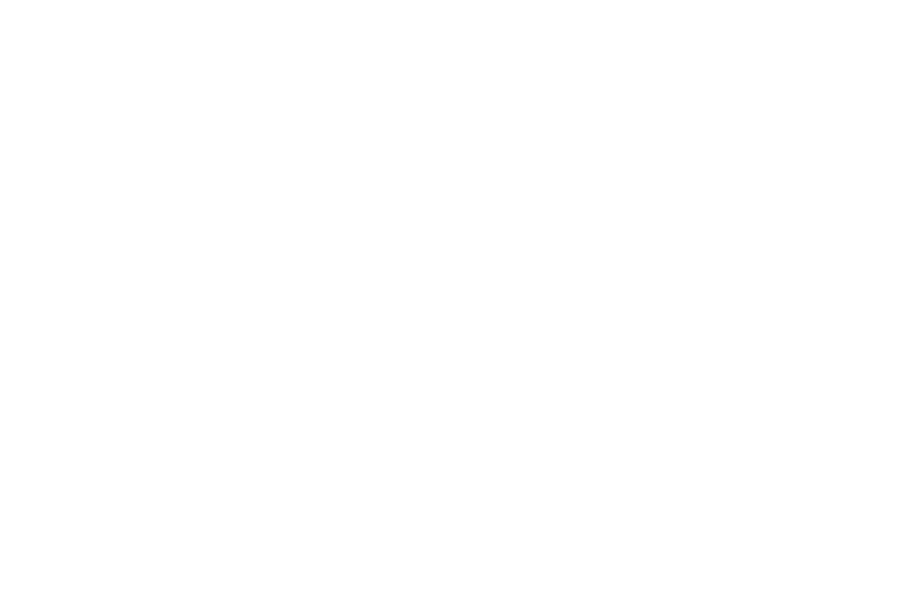 Footer Logo image