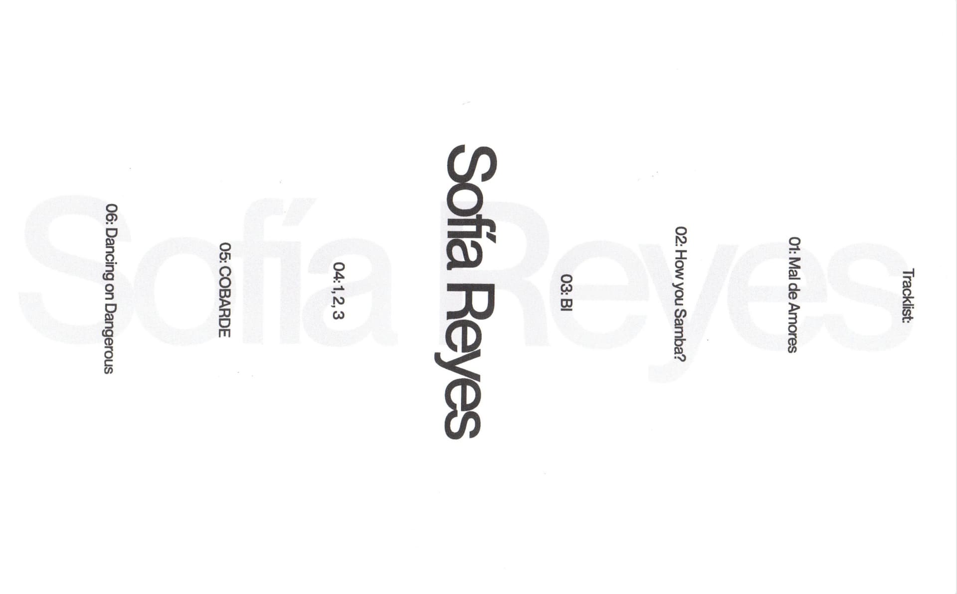 Layout text design for Sofía Reyes' project.