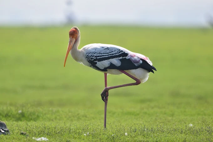 A natural water lake
