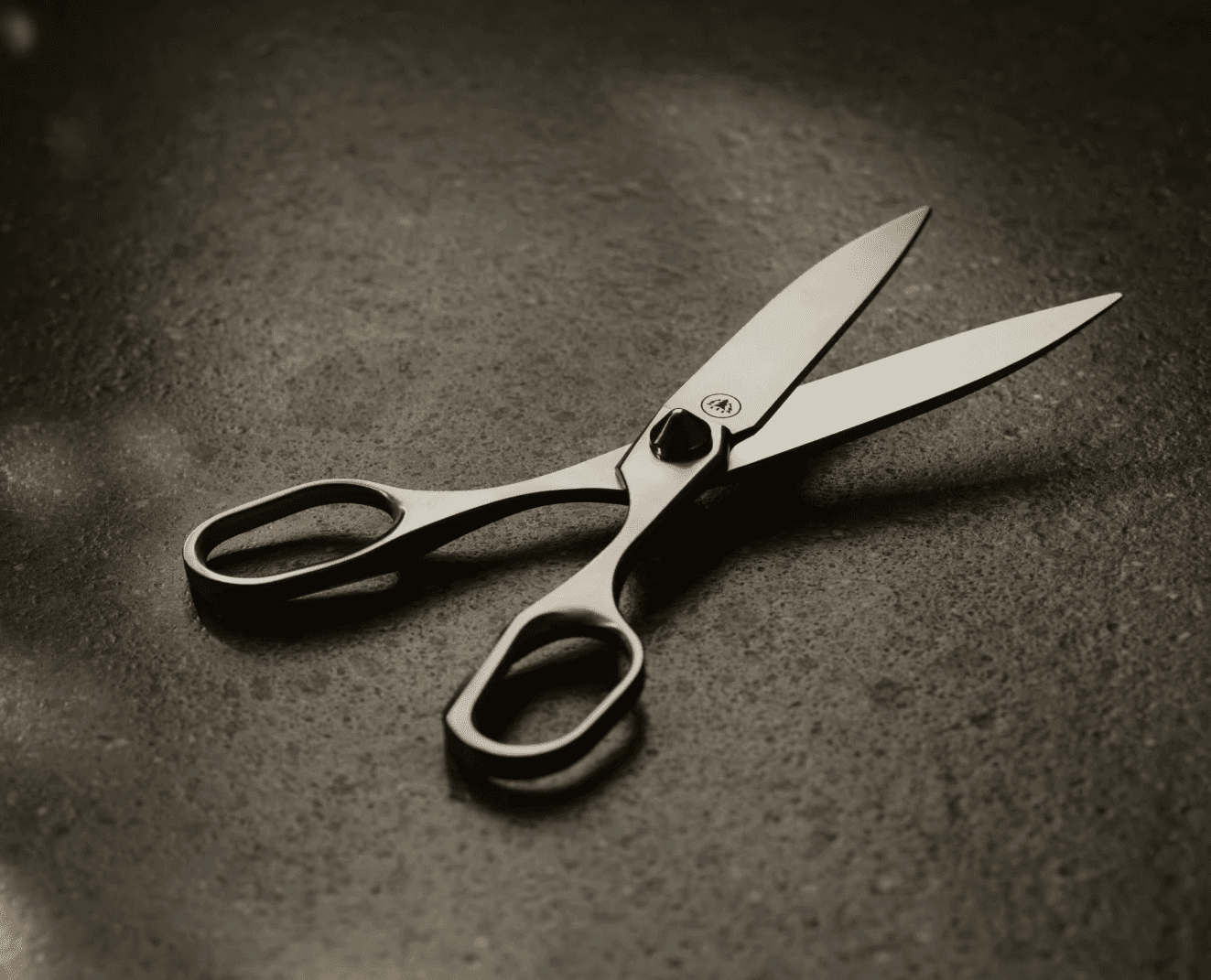 Stainless steel Horl scissors laying on a dark stone countertop in a kitchen with warm, moody ambient lighting.