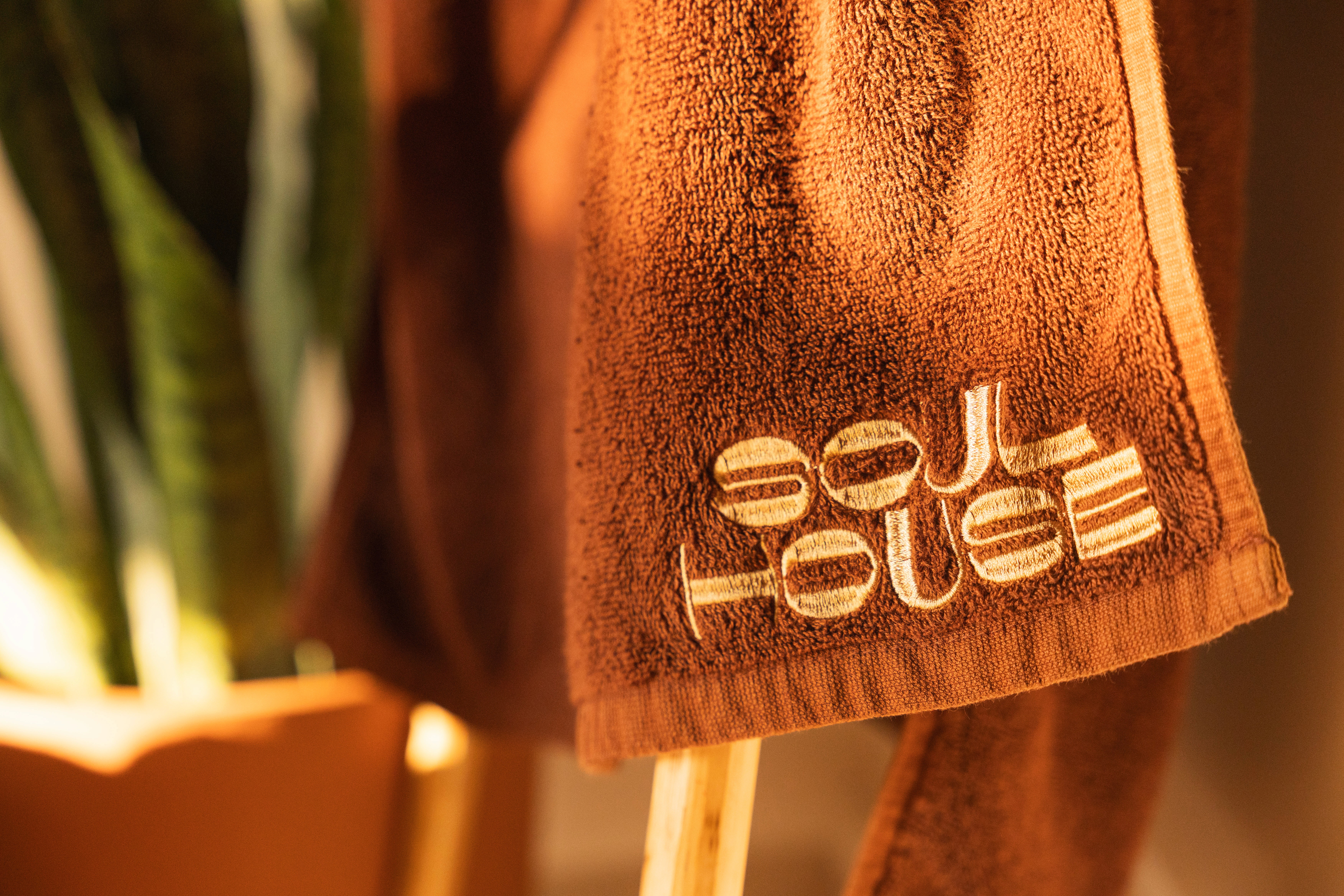 Hotel rooms nestled into the jungle 