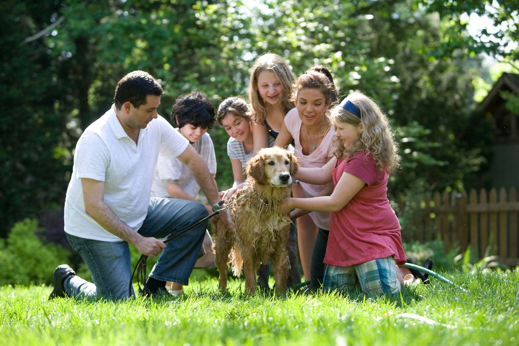 A family of six joyfully washes their golden retriever in the backyard. Gathered around the dog, the parents and four children smile and laugh as they scrub and rinse the dog with a hose. The lush green grass and trees in the background create a warm and happy atmosphere, highlighting the fun and bonding of family activities.