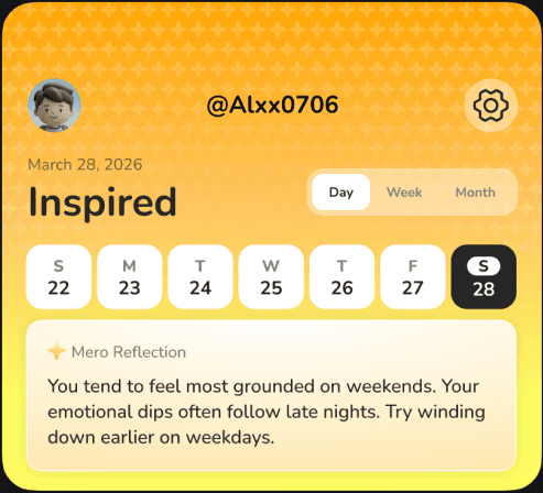 Reflect stage of the MERO app