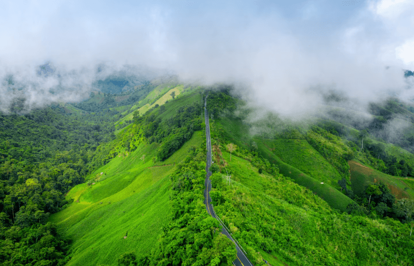 Kerala Hill Stations Weather Guide: All Seasons in Munnar, Wayanad and Kuttikkanam 