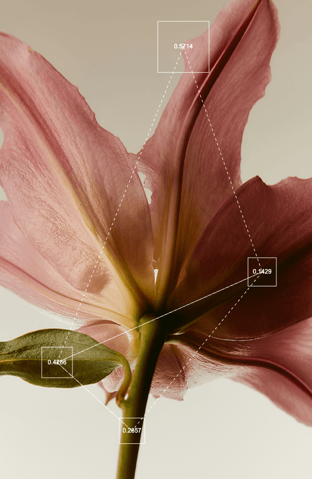 Reel image