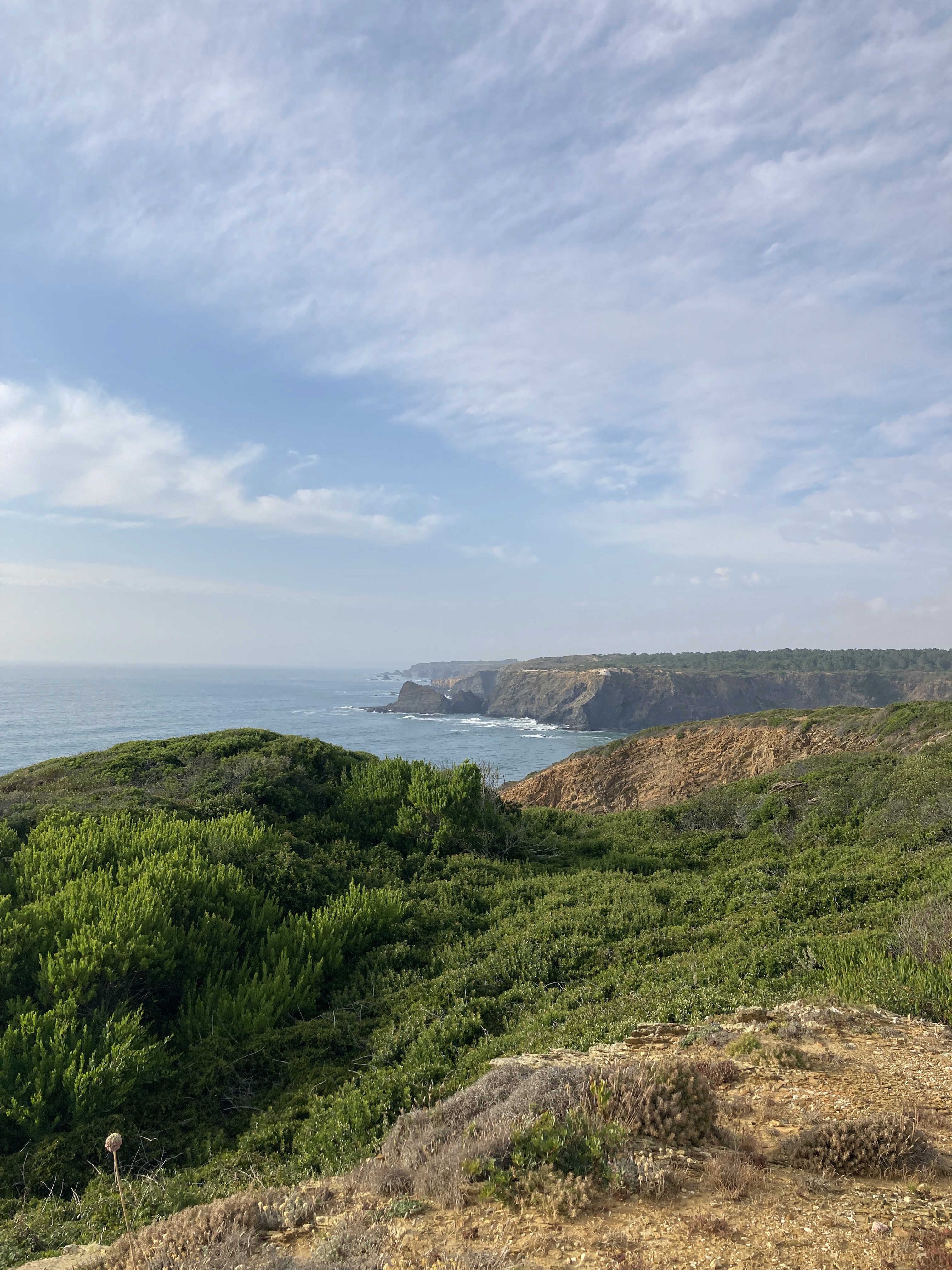 Ocean and Vegetation Landscape
