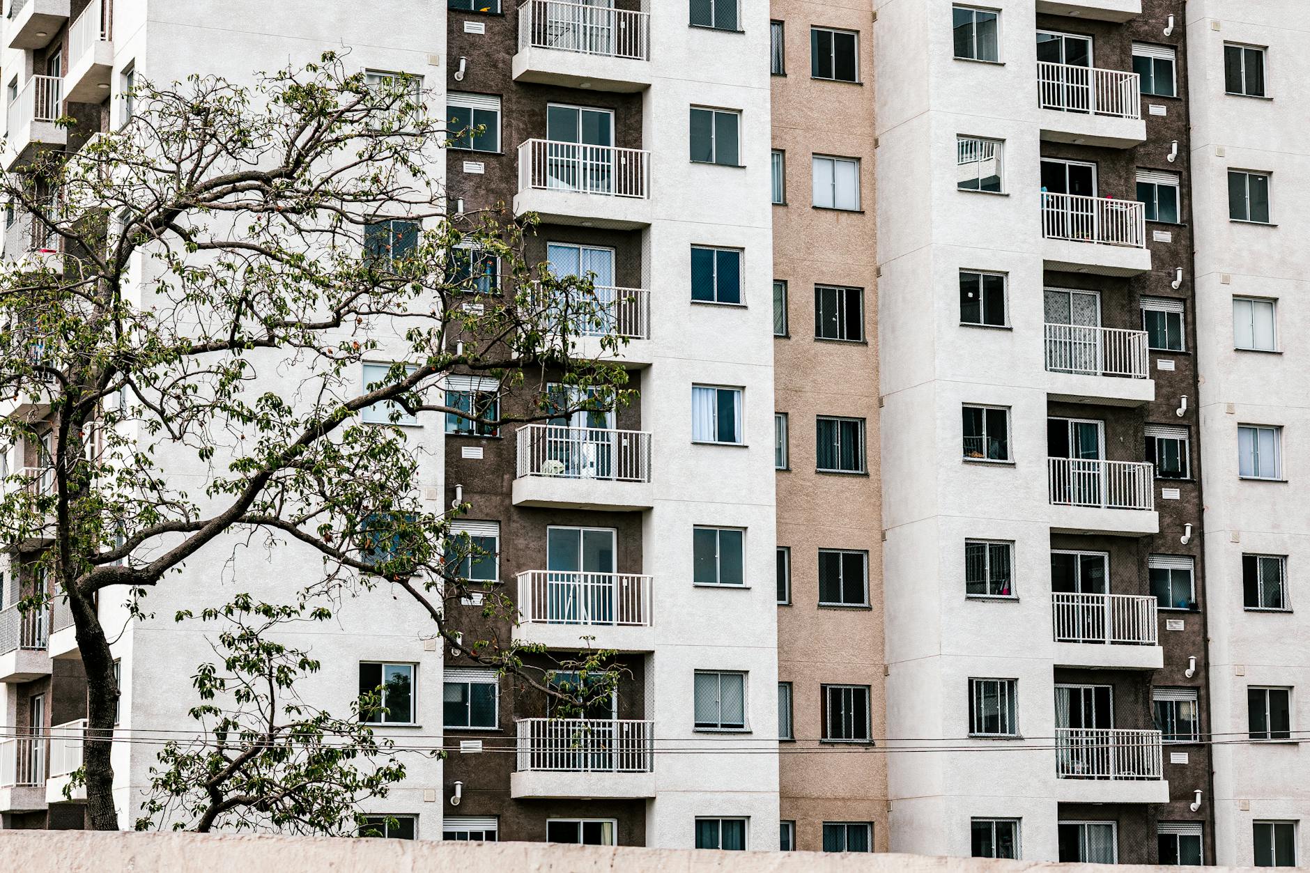 Multi-storey residential apartment block with balconies and small windows, framed by a green leafy tree.