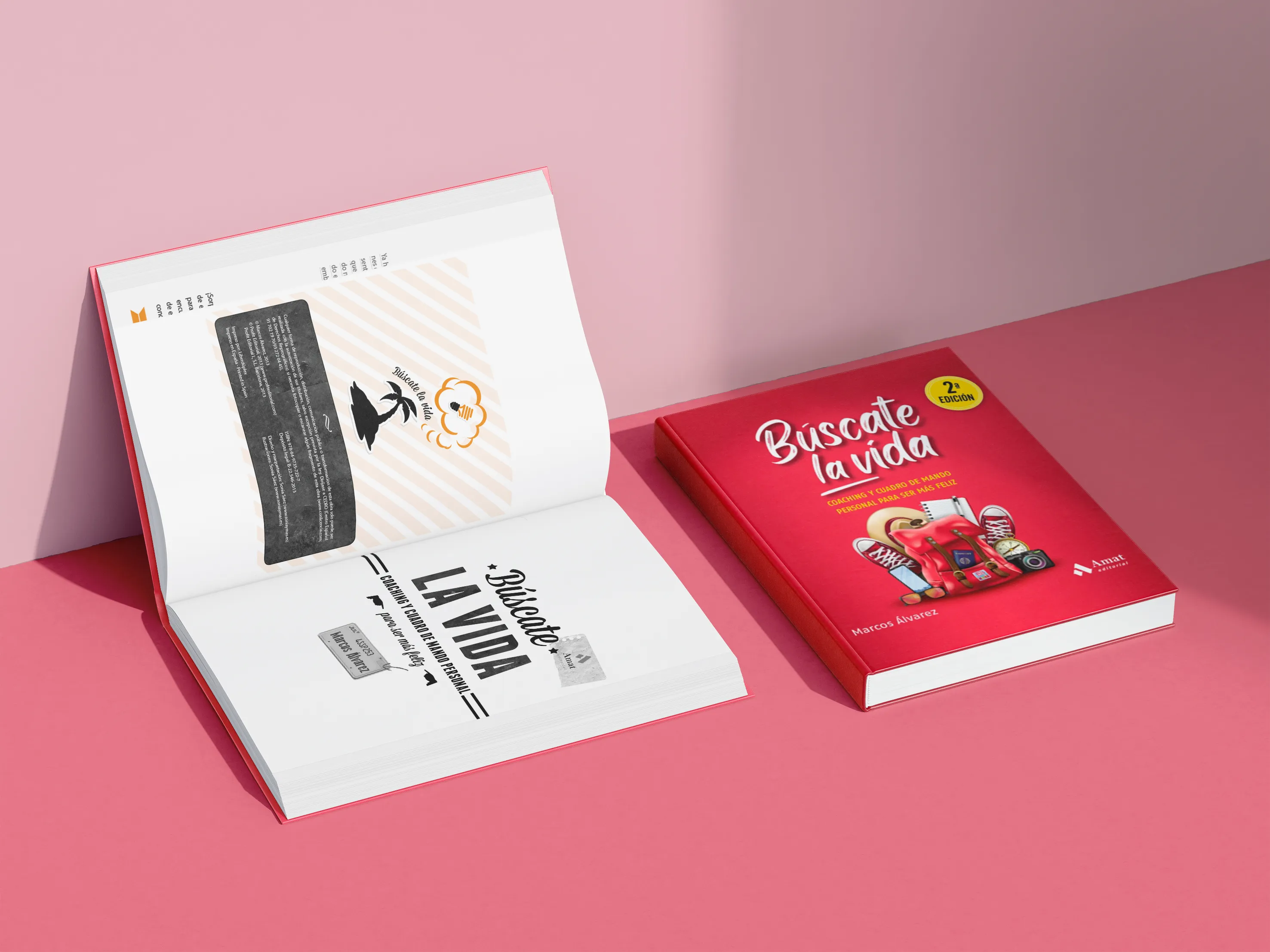 Búscate la vida segunda edición