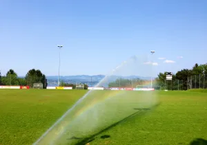 Richtig Bewässern im Frühjahr / Sommer