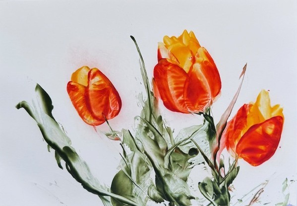 Bild konnte nicht geladen werden