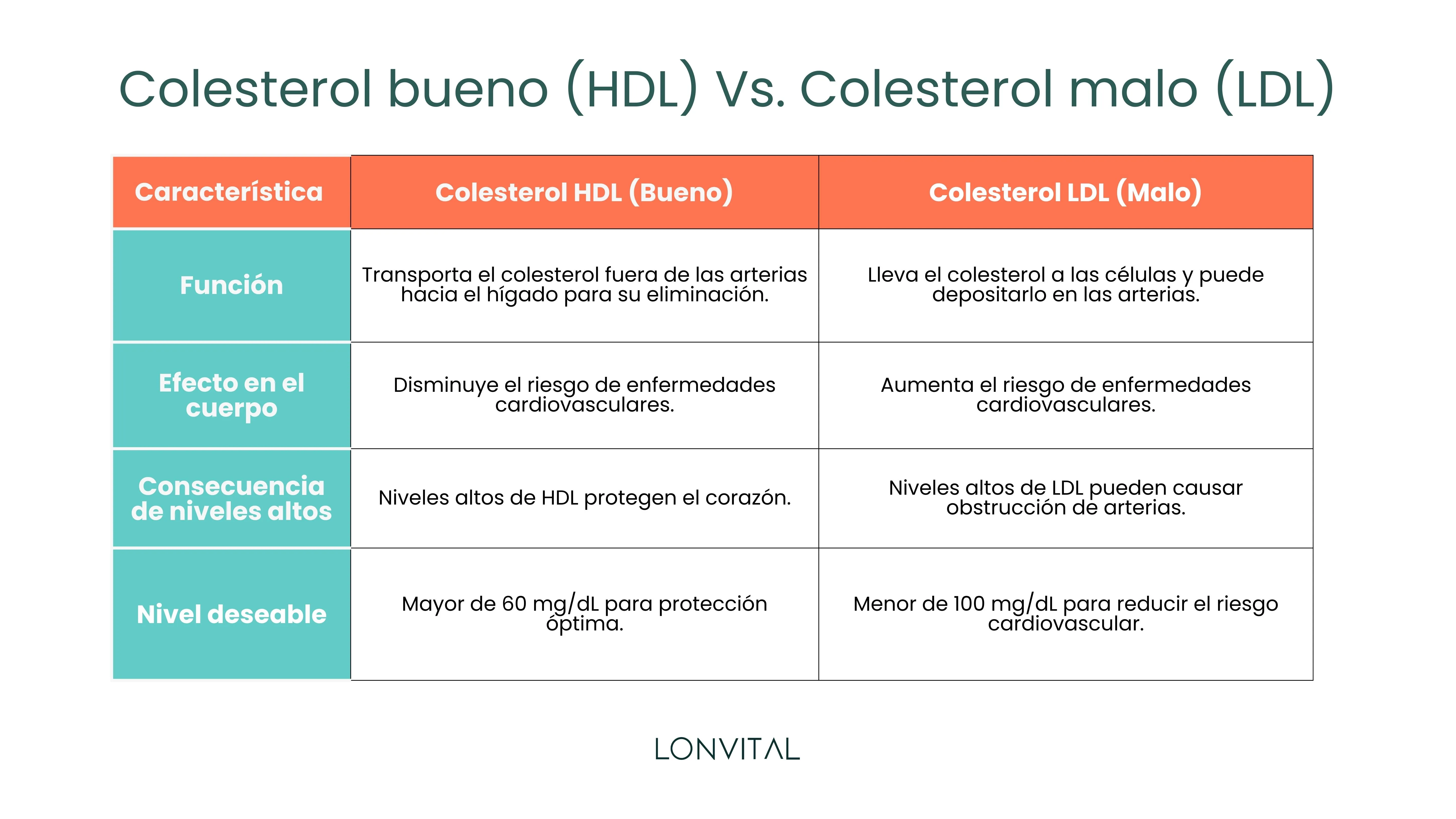 Colesterol bueno (HDL) Vs. Colesterol malo (LDL)