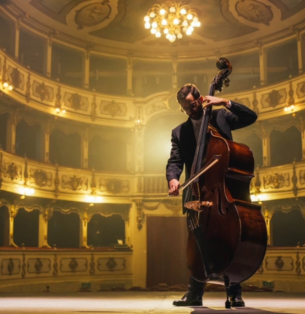 A musician plays a double bass on stage in a beautifully lit ornate theater.