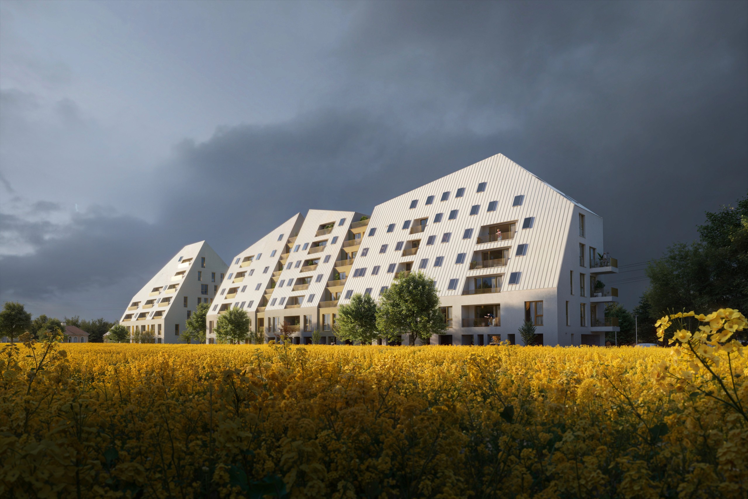 Lakeside Housing Projects Nature Urban Life