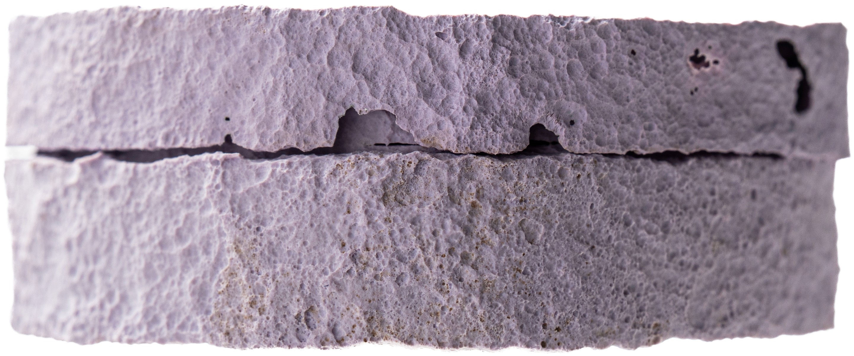 Lilac 15ml Vivomer cosmetic tub biodegraded, demonstrating the microplastic-free, compostable lifecycle of Shellworks packaging.