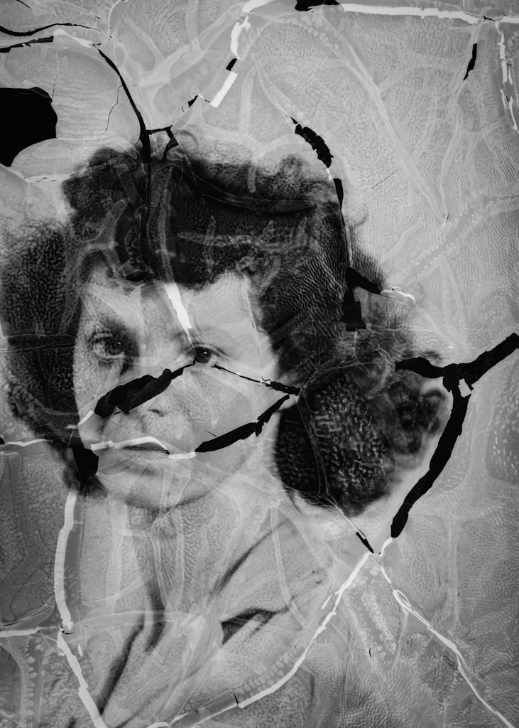 A haunting black and white abstract collage features a woman's face overlaid with fractured, organic patterns and textures, creating a surreal and mysterious effect. The intricate details and contrasts enhance the enigmatic atmosphere of the artwork.