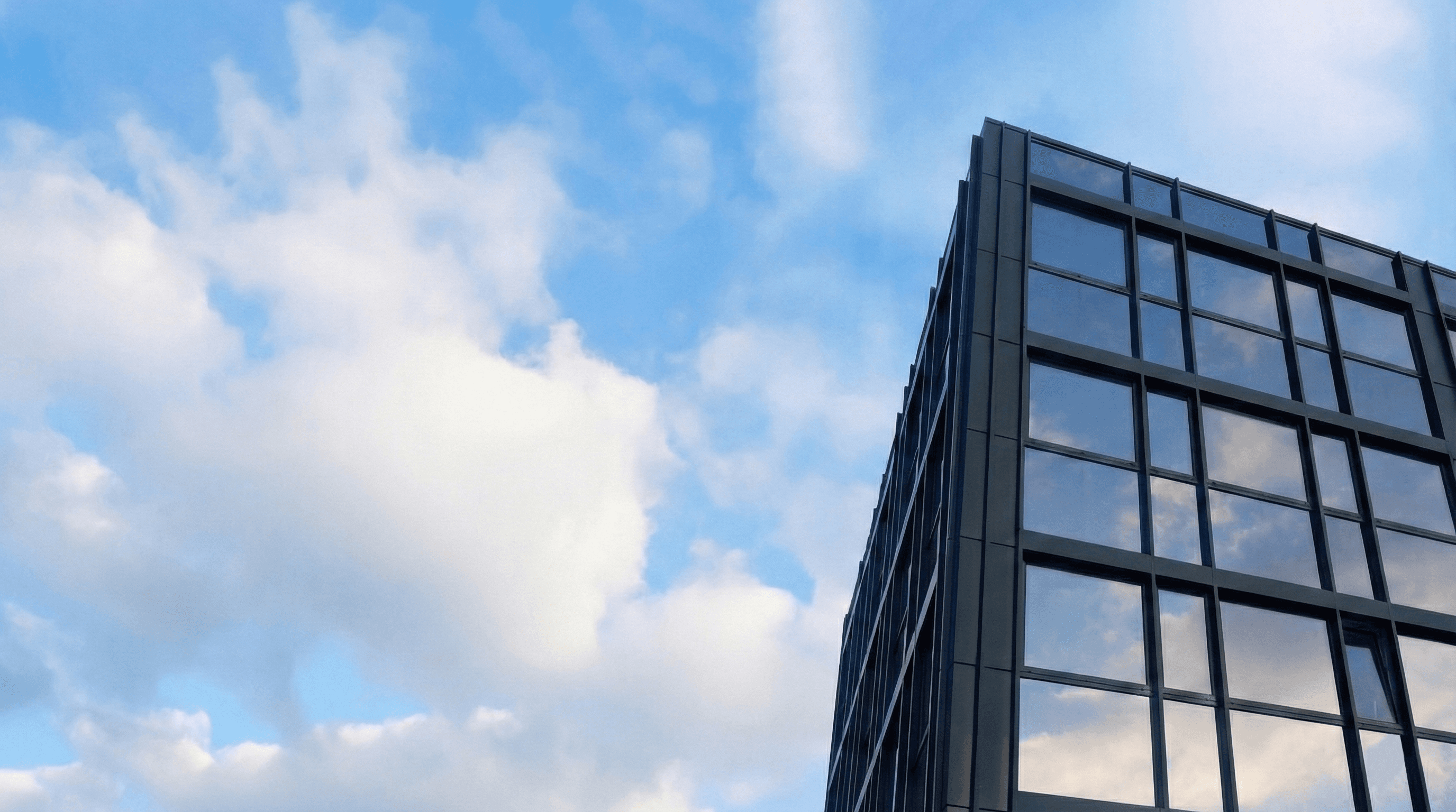 kids lying on a glass land and smiling