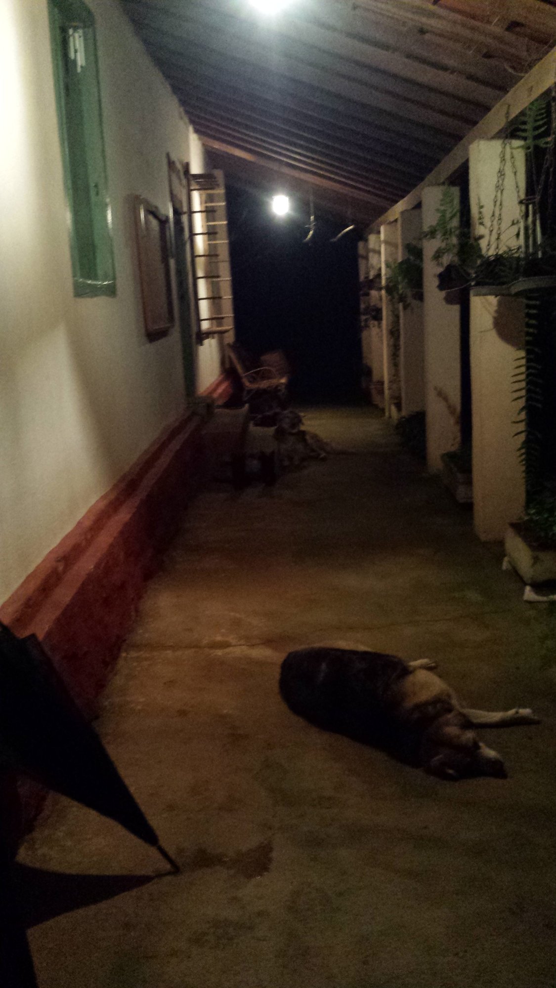 Varanda do sítio à noite, iluminada por lâmpadas, com cachorro deitado no chão