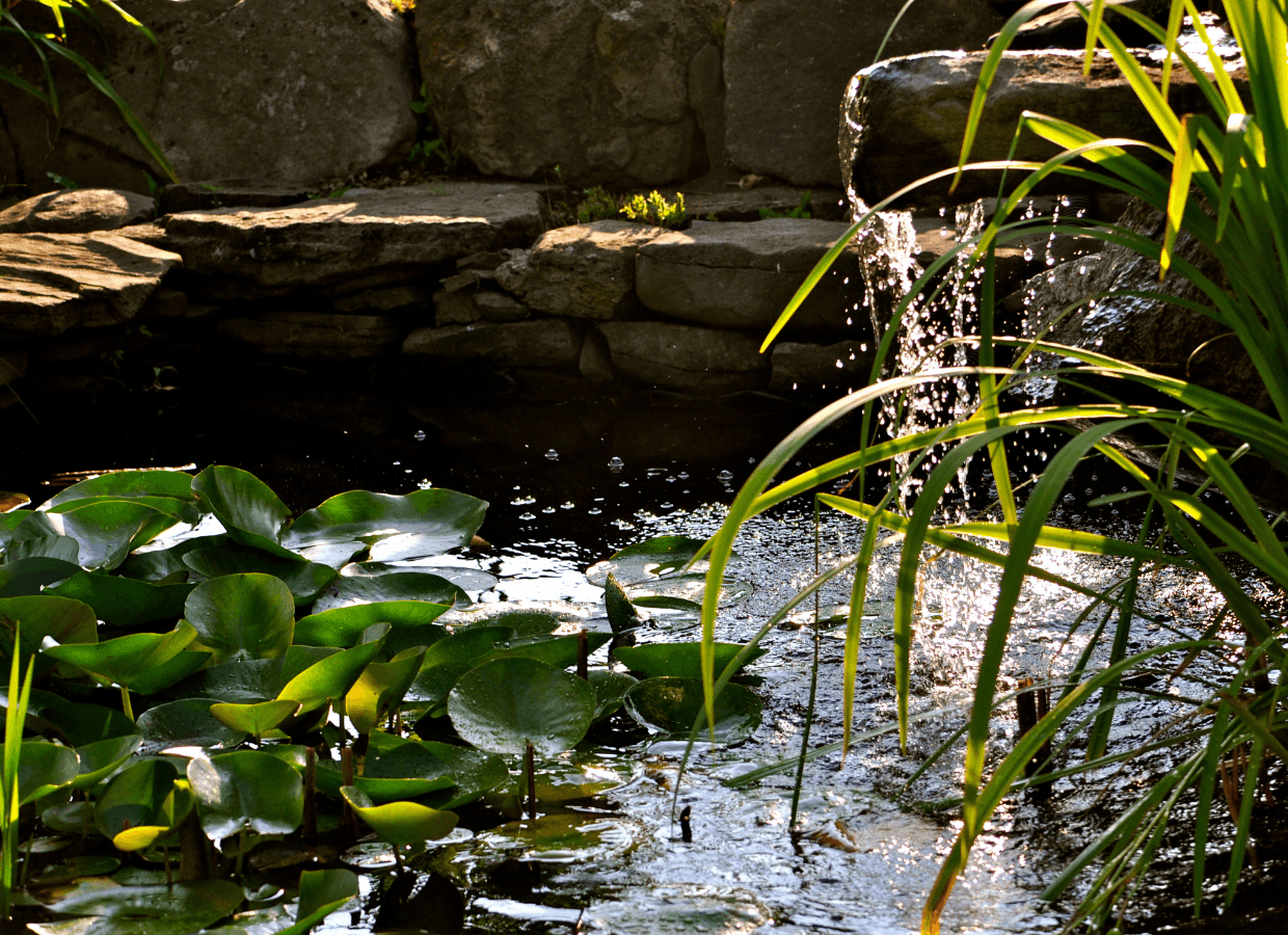 DIY gardening projects to do in summer