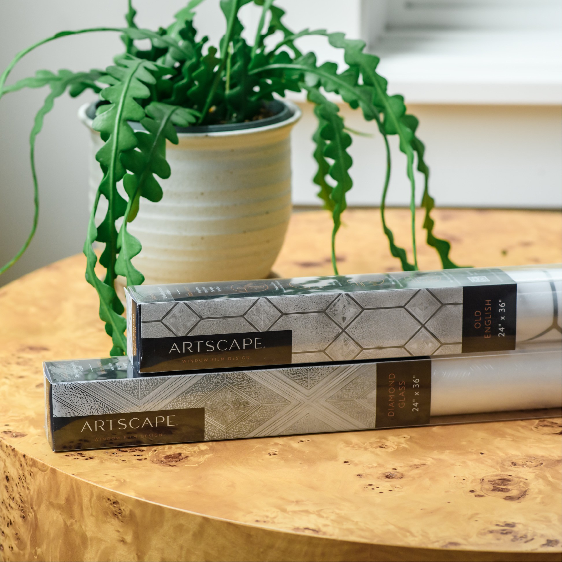 packaging design for new artscape brand