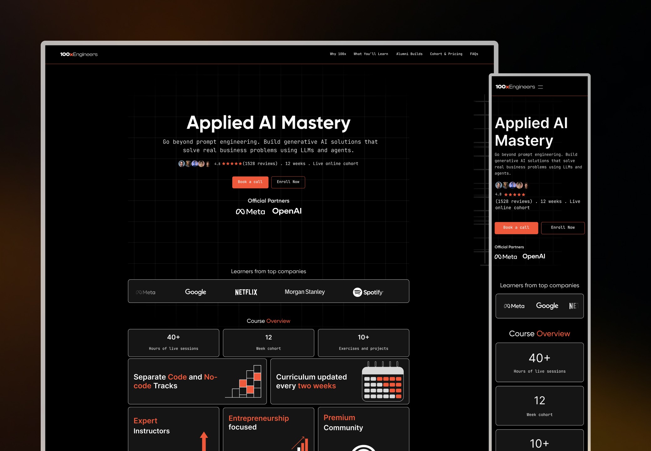 100x Website preview