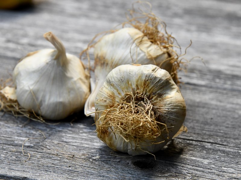 Aglio intero in dispensa