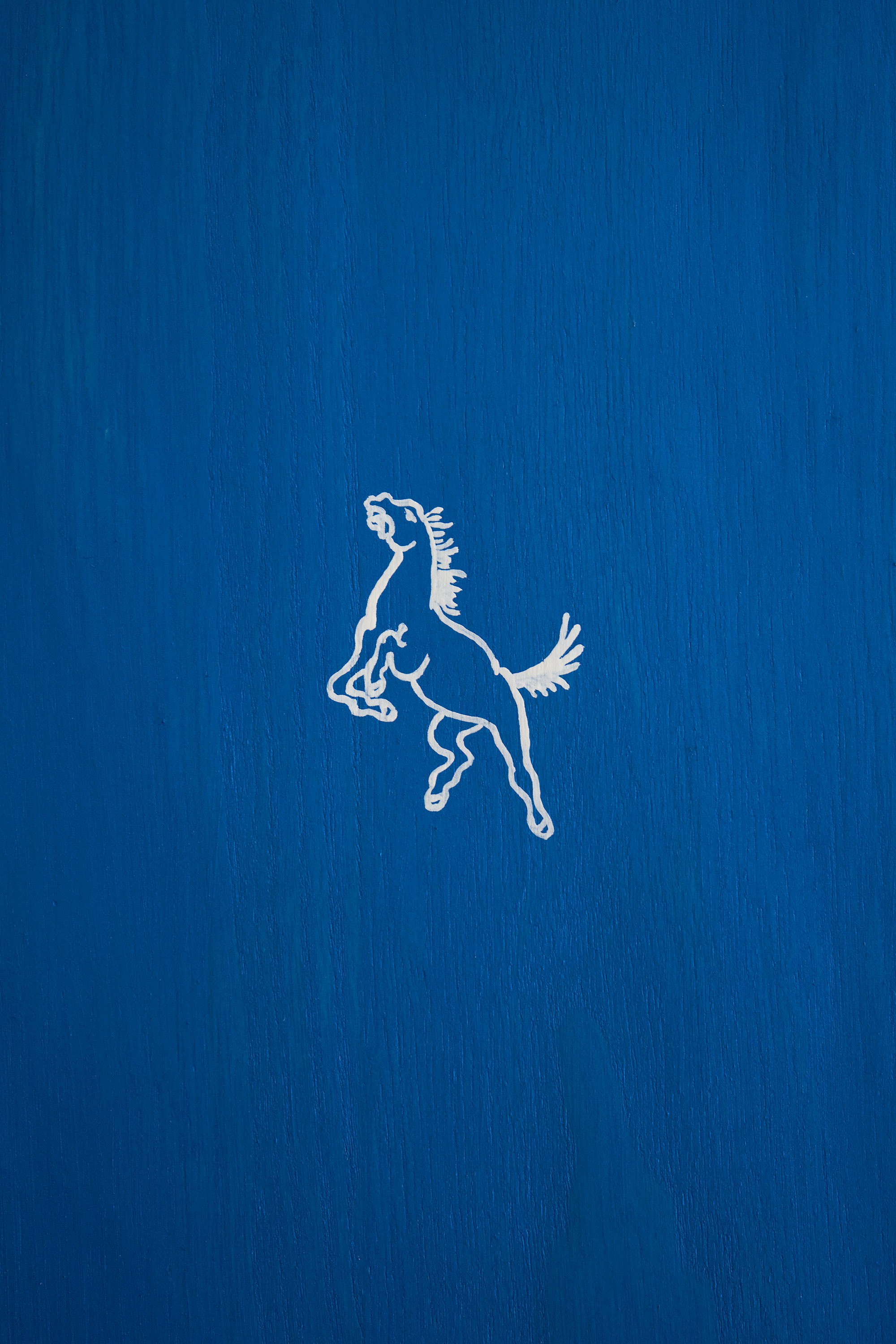 Hand painted horse artwork on wooden surfboard