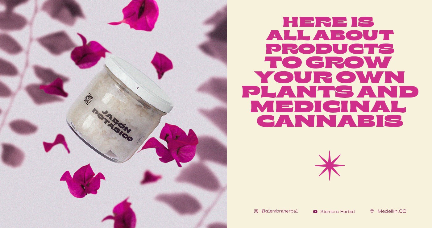 White branded cap with turquoise logo placed on fresh lemons in a red bowl