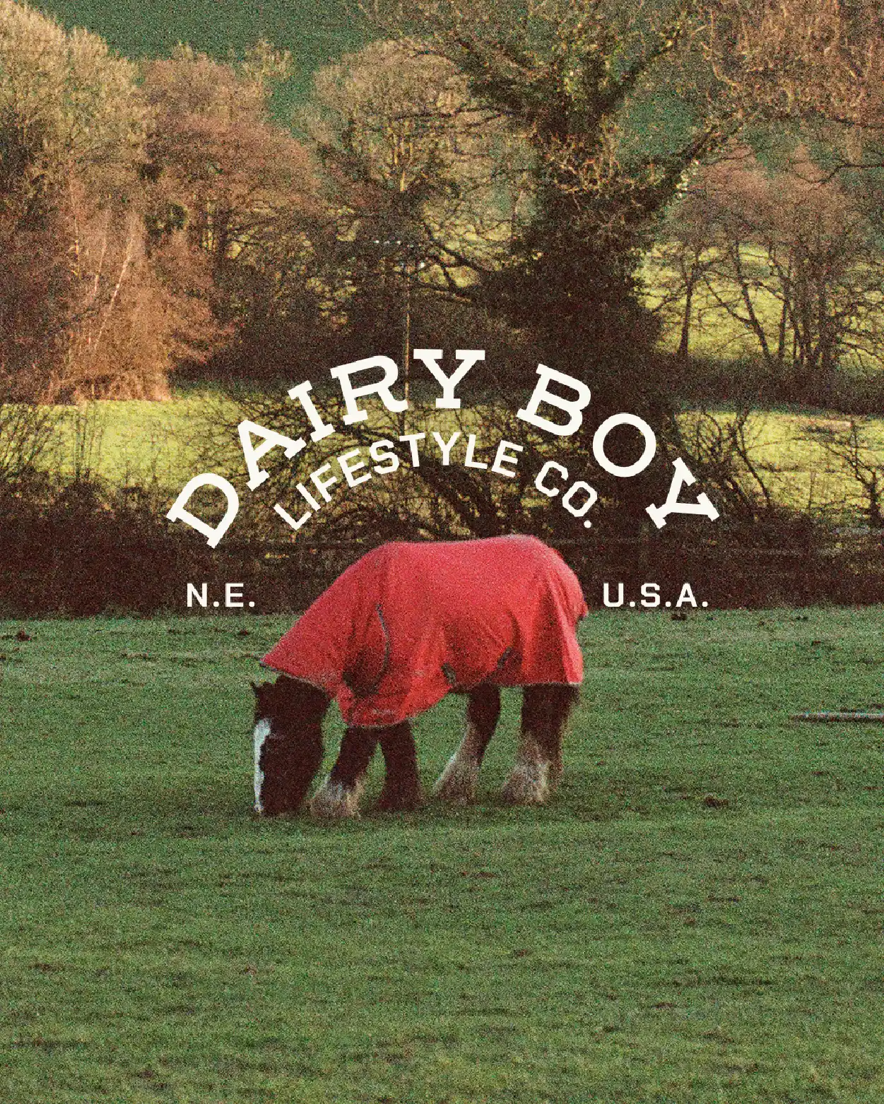 Outdoor DJ set in Cape Town with dancing crowd and Tortuga branding overlaid in green and pink motion-blurred typography.