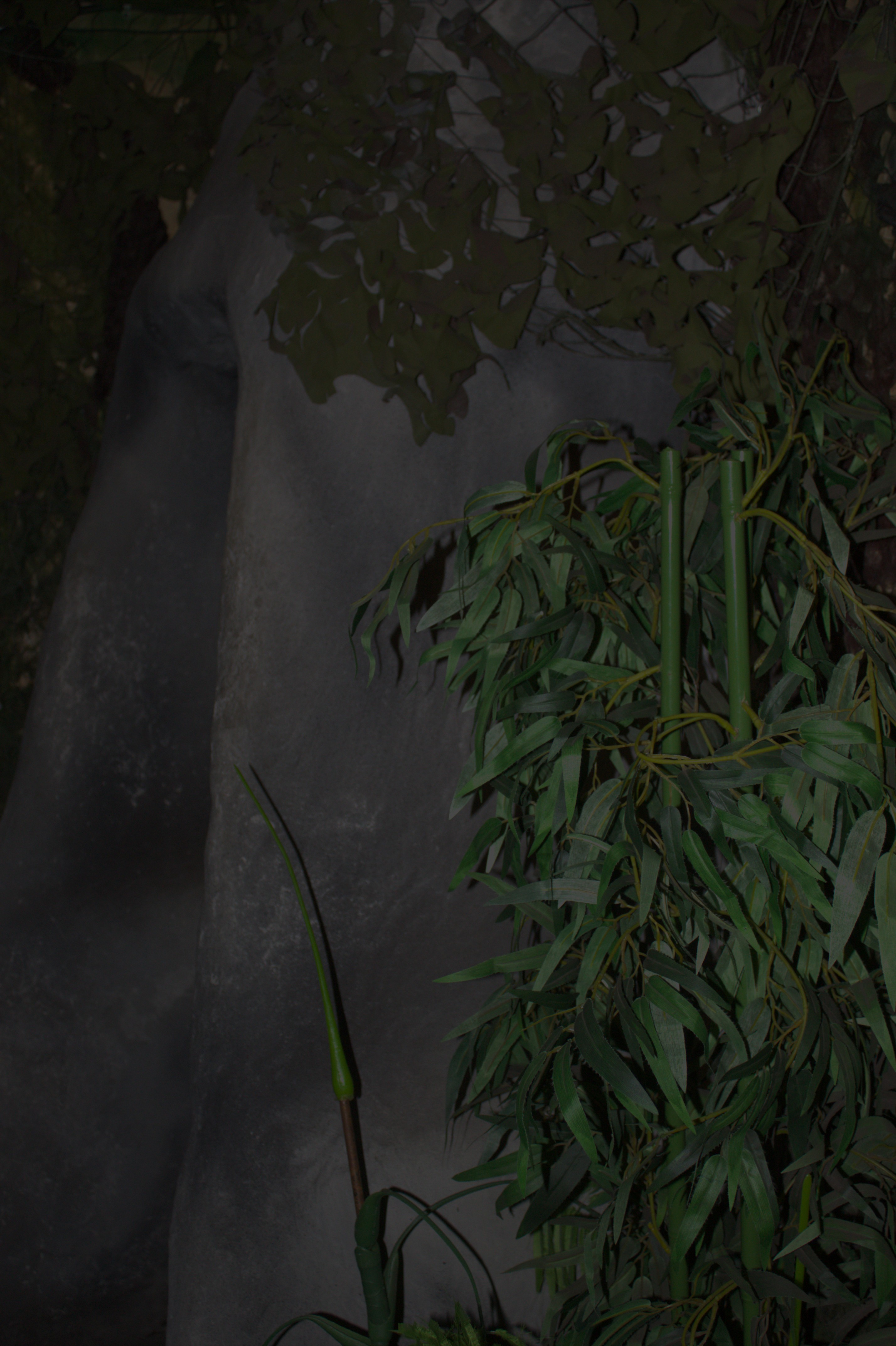 Escape Fort Liezele: mysterieus bos in mysteriewereld – unieke escape room ervaring Puurs Antwerpen Mechelen