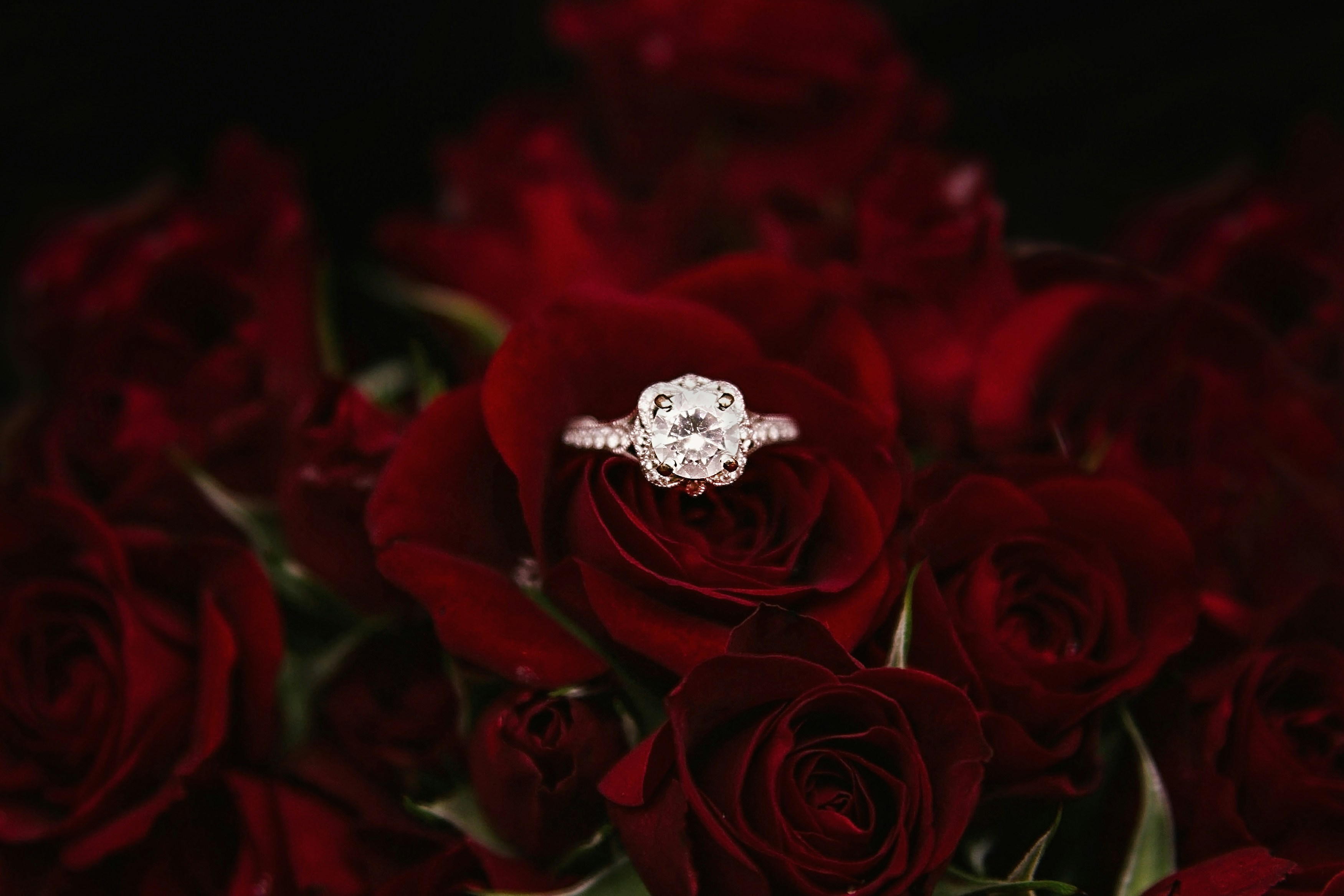 Diamond ring in a bouquet of roses